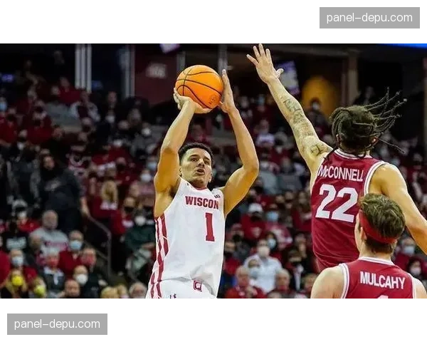 戴维斯揭秘奇才独特运作模式：这里的文化我在别处从未见过